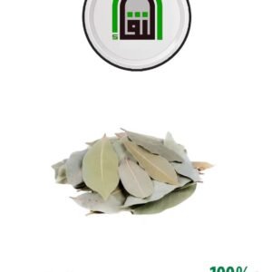 Bay Leaves (Laurus)
